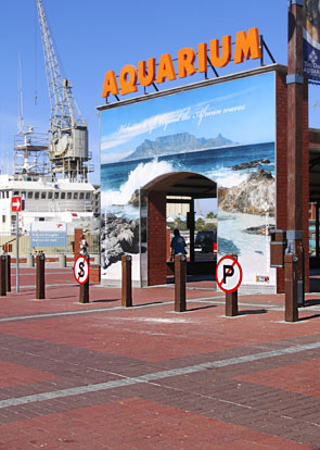 The Cape Town Aquarium : Paving & Red Face Bricks